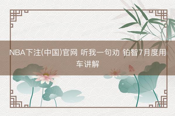 NBA下注(中国)官网 听我一句劝 铂智7月度用车讲解