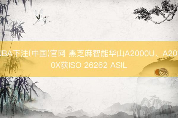 NBA下注(中国)官网 黑芝麻智能华山A2000U、A2000X获ISO 26262 ASIL