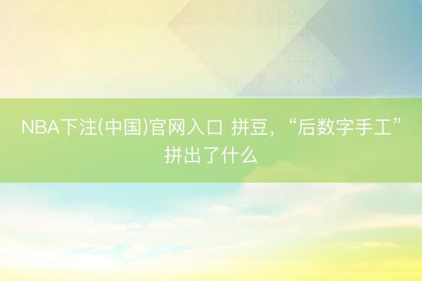 NBA下注(中国)官网入口 拼豆，“后数字手工”拼出了什么