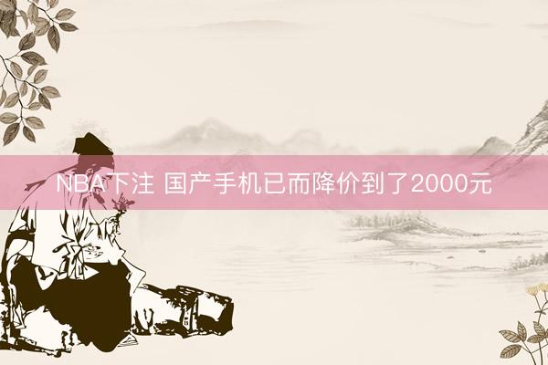 NBA下注 国产手机已而降价到了2000元