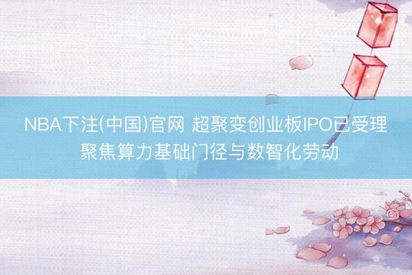NBA下注(中国)官网 超聚变创业板IPO已受理 聚焦算力基础门径与数智化劳动