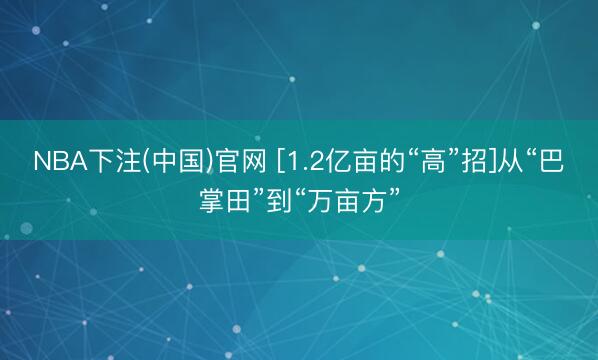 NBA下注(中国)官网 [1.2亿亩的“高”招]从“巴掌田”到“万亩方”