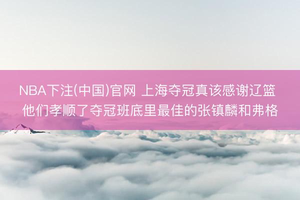 NBA下注(中国)官网 上海夺冠真该感谢辽篮 他们孝顺了夺冠班底里最佳的张镇麟和弗格