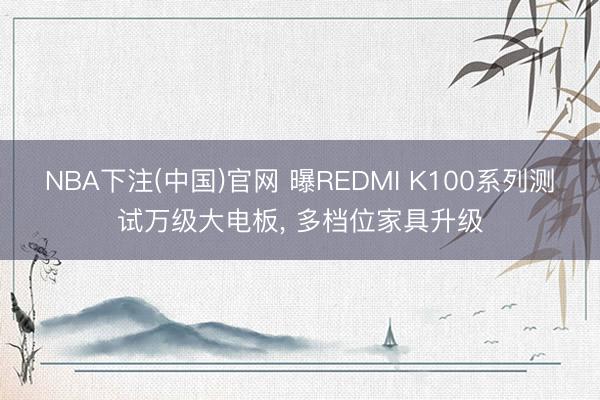 NBA下注(中国)官网 曝REDMI K100系列测试万级大电板， 多档位家具升级