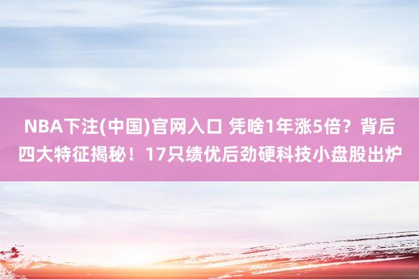 NBA下注(中国)官网入口 凭啥1年涨5倍?背后四大特征揭秘!17只绩优后劲硬科技小盘股出炉